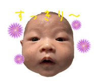 844654451