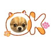 844655610