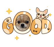 844655612