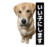 844655778