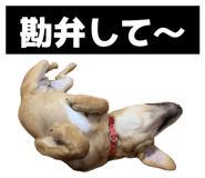 844655781
