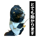 844655782