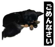 844655783