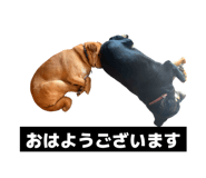 844655784