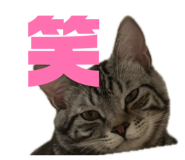 844655863