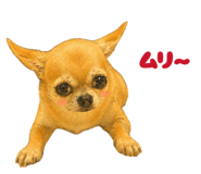844656027