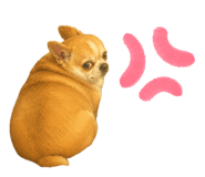 844656030