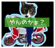 844656434