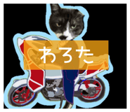 844656443
