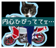 844656446