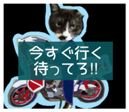844656447