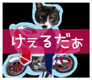 844656454