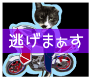 844656455