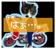 844656461