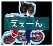 844656464