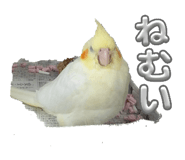 844656513