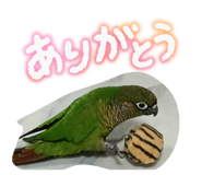 844656521