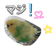 844656525