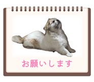 844657231
