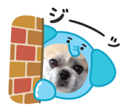 844657236