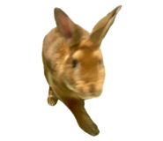 844658540
