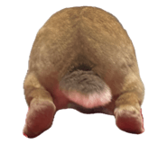 844658544