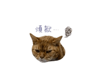 844659592