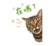 844660011