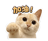 844660077