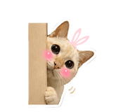 844660079