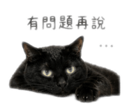844660336