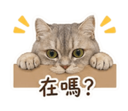 844660451