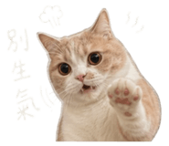 844660644