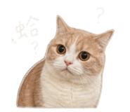844660646