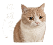 844660648