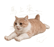 844660650