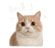 844660651