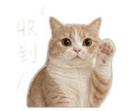 844660652