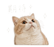 844660665