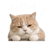 844660669