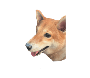 844660905