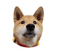 844660911