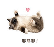 844661984