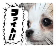 844662006