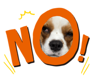 844662020