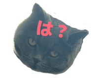 844662502