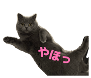 844662505