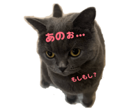 844662508