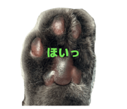 844662509