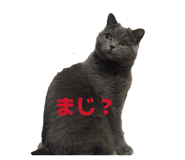 844662511